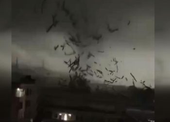 Çin'de hortum ortalığı savaş alanına çevirdi