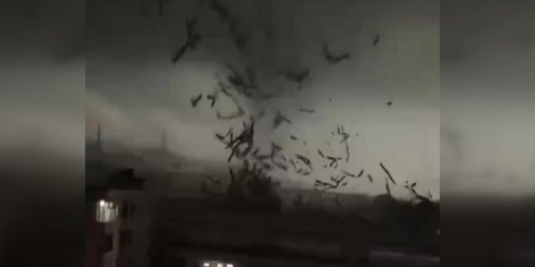 Çin'de hortum ortalığı savaş alanına çevirdi