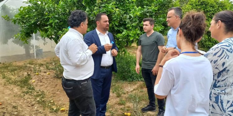 Biyolojik mücadele amacı ile parazitoit böcek salınımına başlandı