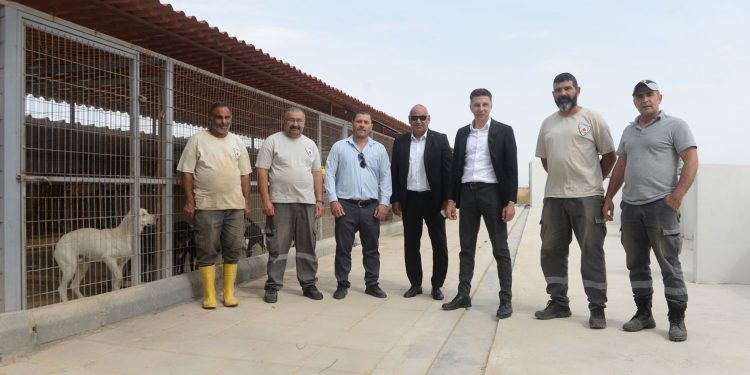 Amcaoğlu: “Hayvan barınağının koşullarını iyileştirmeyi sürdürüyoruz”