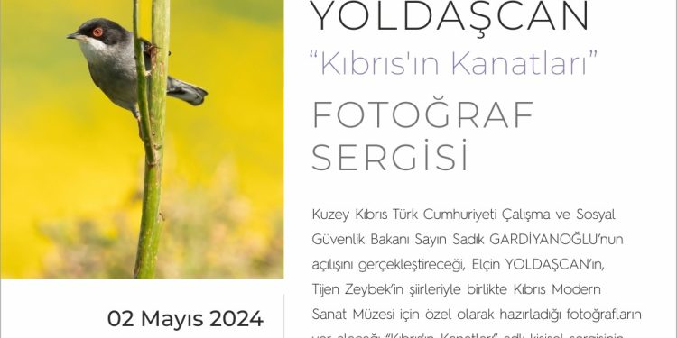 Kıbrıs’ın Kanatları sergisi YDÜ’de 2 Mayıs’ta ziyarete açılacak