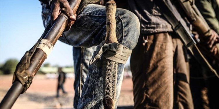 Nijerya'da 8 silahlı çete üyesi öldürüldü