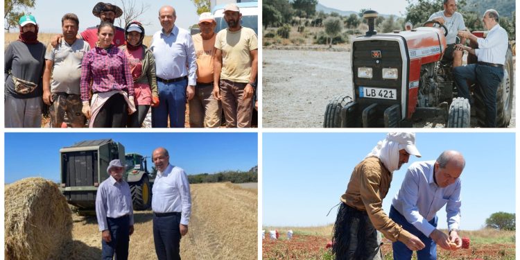 Cumhurbaşkanı Tatar,Kıbrıs Türk Çiftçiler Birliği’nin 81.Kuruluş Yıl Dönümü nedeniyle mesaj yayımladı