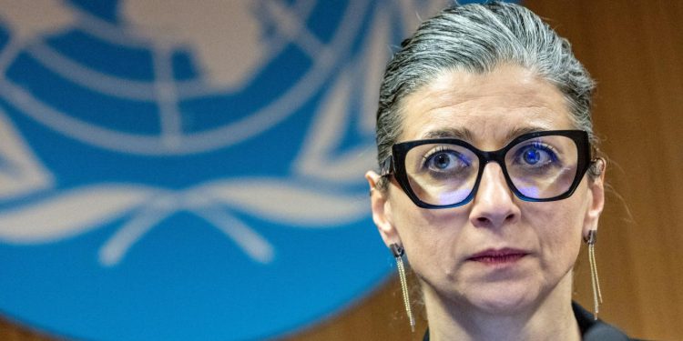 BM Raportörü, ABD'deki Filistin'e destek gösterilerine polisin sert müdahalesini eleştirdi