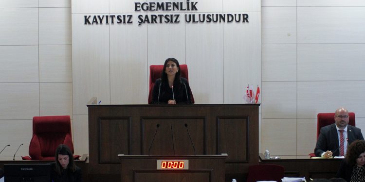 Cumhuriyet Meclisi Genel Kurulu hem yasama hem de denetim göreviyle toplandı
