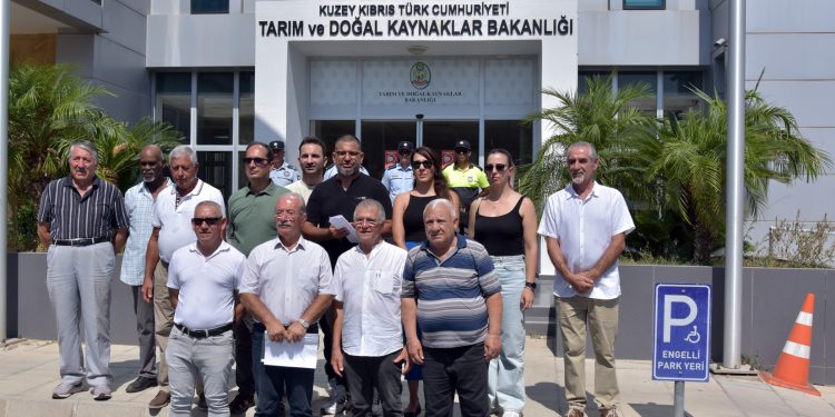 Çevre Platformu çam kese böceğiyle havadan biyolojik mücadele için harekete geçilmesini istedi