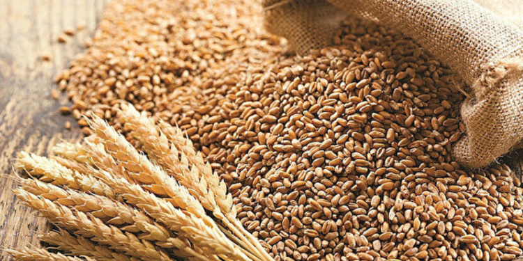 Zahire fiyatları belirlendi.. Yemlik arpa 9.76 TL, tohumluk arpa 10.00 TL