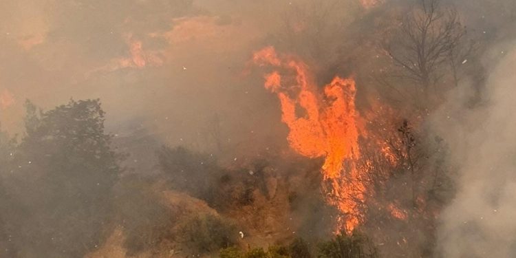 Ağıllar Köyü’nde gece yarısı yeniden alevlenen yangın kontrol altına alındı, soğutma çalışmaları yapıldı