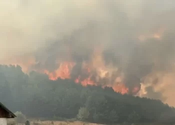 Türkiye’de yaşanan orman yangınlarına müdahaleler sürüyor