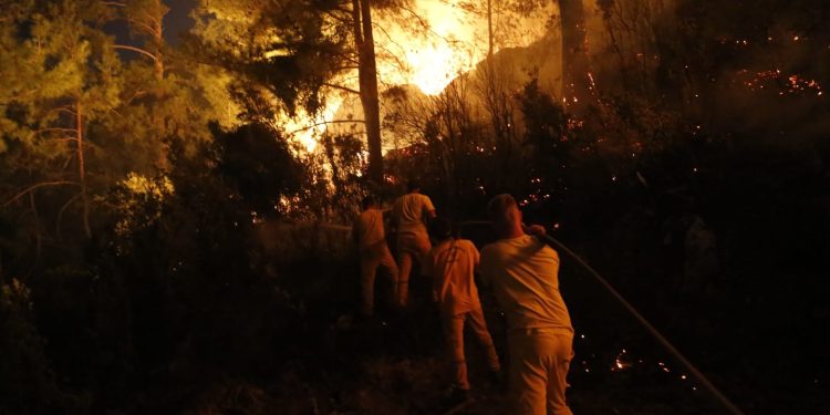 Muğla’da çıkan orman yangınına müdahale gece boyunca devam etti