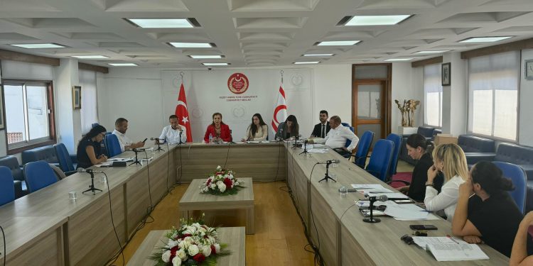 Maliye, Bütçe ve Plan Komitesi toplandı