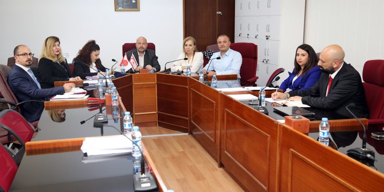 Dijital Dünyada Çocuk Haklarına İlişkin Oluşturulan Ad-Hoc Komite toplandı