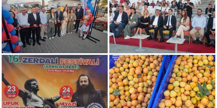 16. Zerdali Festivali başladı