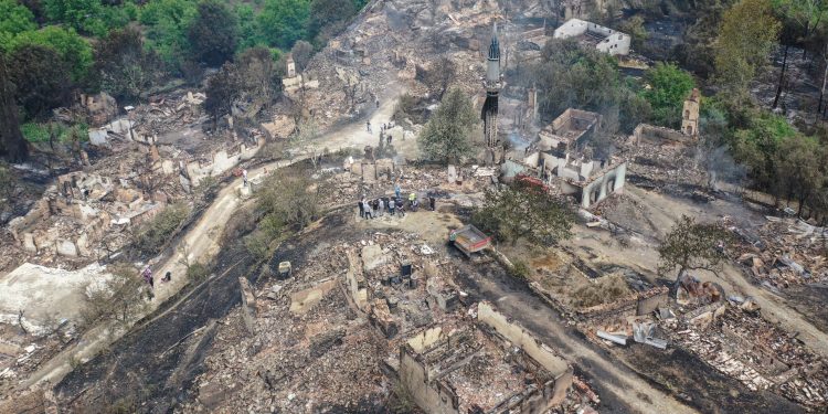 Sakarya ile Bilecik sınırındaki Köprücek köyü, yangında büyük zarar gördü
