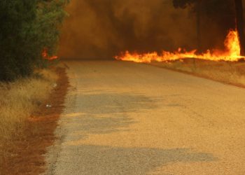 Çanakkale’de orman yangını