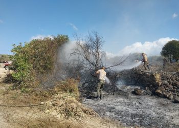 Yenierenköy’de çıkan yangın kontrol altında