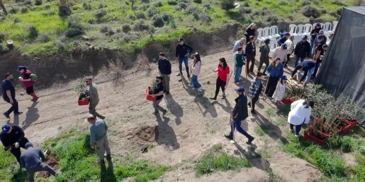 İnşaat mühendislerinden İMO Anı Ormanı’na 400 yeni fidan