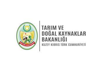 Küçükbaş destek ödemeleri perşembe günü yapılacak