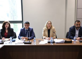 Hukuk, Siyasi İşler, Dışilişkiler ve Savunma Komitesi toplandı