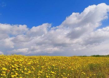 Hava sıcaklığı 30 dereceye kadar yükselecek