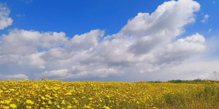Hava sıcaklığı 30 dereceye kadar yükselecek