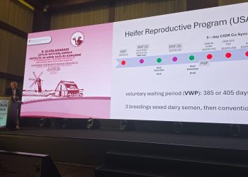 Tarım ve Doğal Kaynaklar Bakanı Çavuş: “Bilimsel çalışmalar ve yenilikçi yaklaşımlar hayvancılık sektörünün geleceği için yol gösterici”