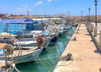 2026 yılı balıkçılık av malzemesi destek başvuruları başlıyor