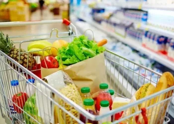 Tüketici Fiyat Endeksi Sepeti güncellenecek