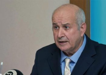 Gülbahar: Barış Gücü, Rum tarafının vekil gücü mü?