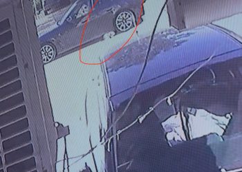 Lefkoşa Marmara Bölgesinde Köpeğe Çarptı Kaçtı