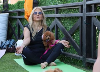 Lefkoşa’da “Patili Yoga Buluşması” yoğun ilgi gördü