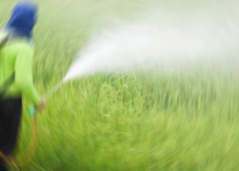 Spirotetramat içerikli bitki koruma ürünlerinin kullanımına yasak