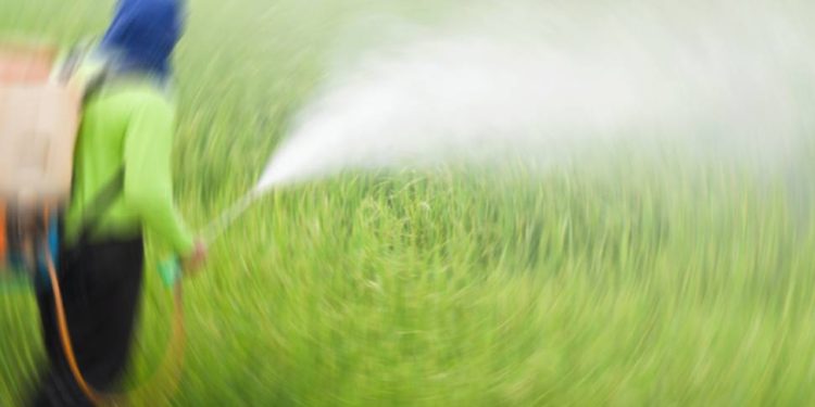 Spirotetramat içerikli bitki koruma ürünlerinin kullanımına yasak