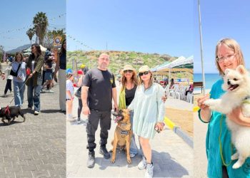 Alagadi’de evcil hayvanlar için festival düzenlendi
