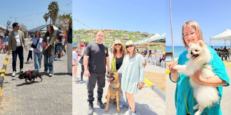 Alagadi’de evcil hayvanlar için festival düzenlendi