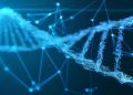 180 yıldır kayıp olan denizcilerin kimlikleri DNA ile belirlendi