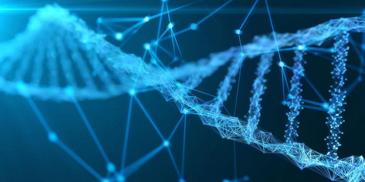 180 yıldır kayıp olan denizcilerin kimlikleri DNA ile belirlendi