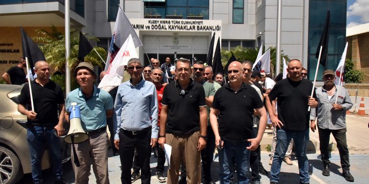 KTEZO ile Kasaplar Birliği’nden eylem…”Yerli et sübvanse edilsin”
