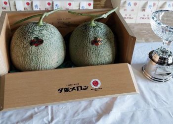 Kavun açık arttırmada yaklaşık 36 bin 500 dolara satıldı