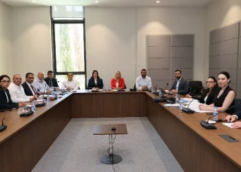 Hukuk, Siyasi İşler, Dışilişkiler ve Savunma Komitesi toplandı