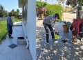Mesarya Belediyesi haşereyle mücadele çalışmalarını sürdürüyor