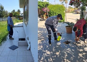 Mesarya Belediyesi haşereyle mücadele çalışmalarını sürdürüyor