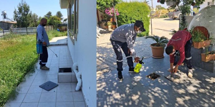 Mesarya Belediyesi haşereyle mücadele çalışmalarını sürdürüyor