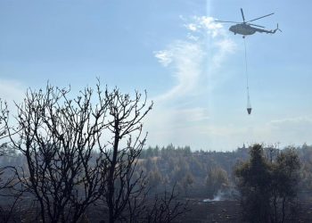 Antalya’da çıkan orman yangını kontrol altına alındı