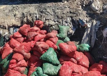 Soma’da bozuk 4 ton midye imha edildi