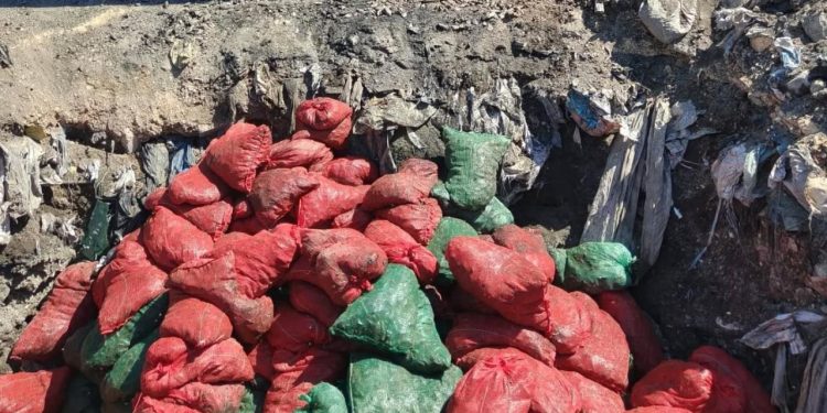 Soma’da bozuk 4 ton midye imha edildi