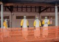 DSÖ uyardı: Ebola aylar önce başlamış