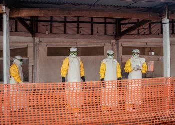 DSÖ uyardı: Ebola aylar önce başlamış