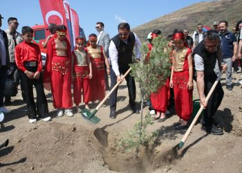 Hatay’da orman yangınında zarar gören alanlar ağaçlandırılıyor
