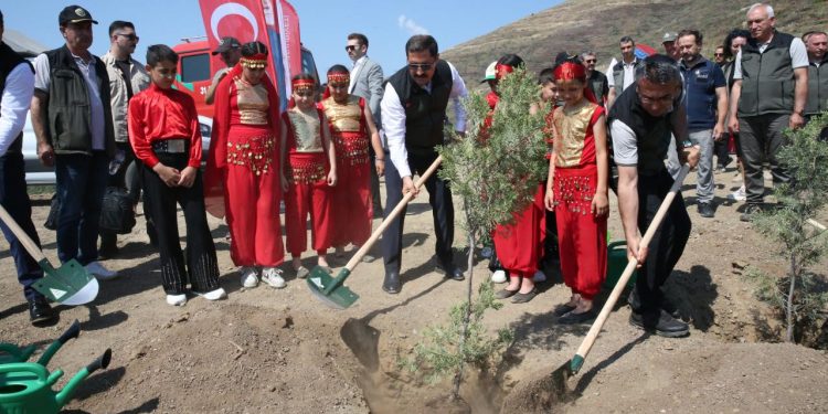 Hatay’da orman yangınında zarar gören alanlar ağaçlandırılıyor
